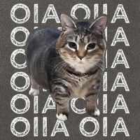 Oia Cat Meme I Wake Up Engage In Tomfoolery Oiia Cat Spinnin Cotton Canvas Backpack