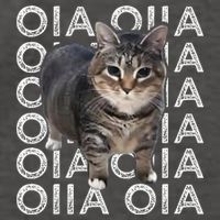 Oia Cat Meme I Wake Up Engage In Tomfoolery Oiia Cat Spinnin Vector Backpack