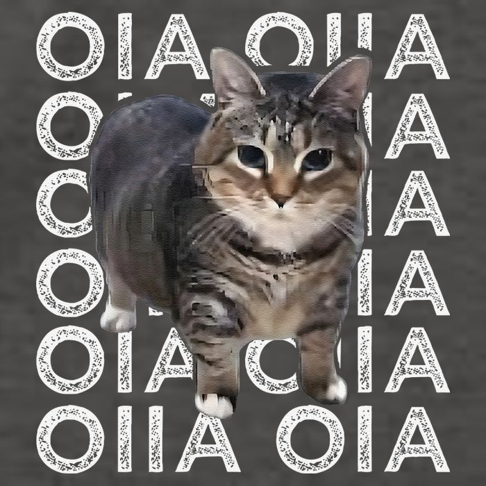 Oia Cat Meme I Wake Up Engage In Tomfoolery Oiia Cat Spinnin Vector Backpack
