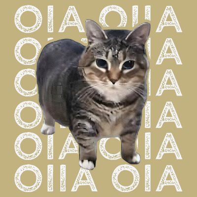 Oia Cat Meme I Wake Up Engage In Tomfoolery Oiia Cat Spinnin T-Shirt