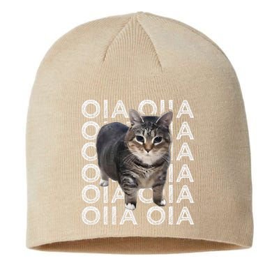 Oia Cat Meme I Wake Up Engage In Tomfoolery Oiia Cat Spinnin Sustainable Beanie