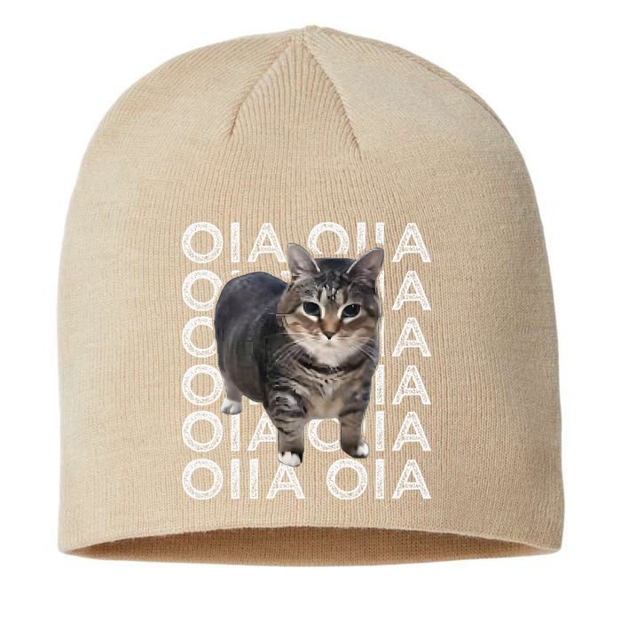 Oia Cat Meme I Wake Up Engage In Tomfoolery Oiia Cat Spinnin Sustainable Beanie