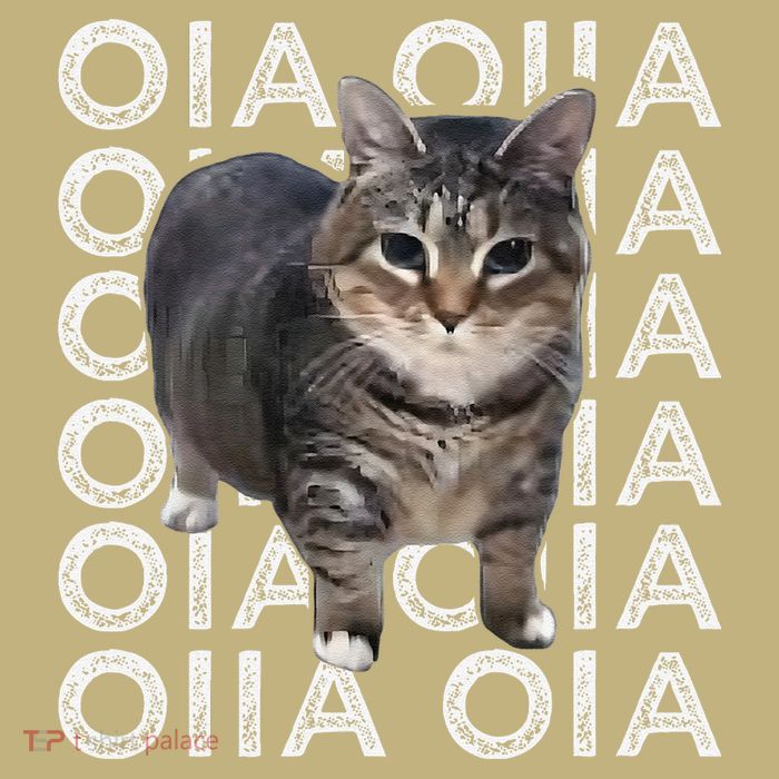 Oia Cat Meme I Wake Up Engage In Tomfoolery Oiia Cat Spinnin Sustainable Beanie