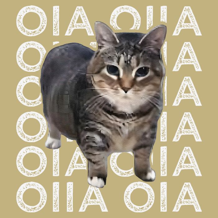 Oia Cat Meme I Wake Up Engage In Tomfoolery Oiia Cat Spinnin Cooling Performance Long Sleeve Crew