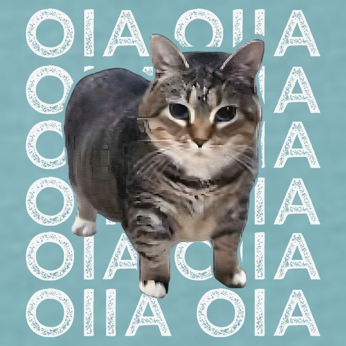 Oia Cat Meme I Wake Up Engage In Tomfoolery Oiia Cat Spinnin Sueded Cloud Jersey T-Shirt