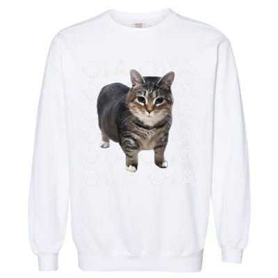 Oia Cat Meme I Wake Up Engage In Tomfoolery Oiia Cat Spinnin Garment-Dyed Sweatshirt