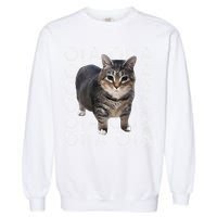 Oia Cat Meme I Wake Up Engage In Tomfoolery Oiia Cat Spinnin Garment-Dyed Sweatshirt