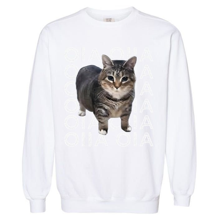 Oia Cat Meme I Wake Up Engage In Tomfoolery Oiia Cat Spinnin Garment-Dyed Sweatshirt