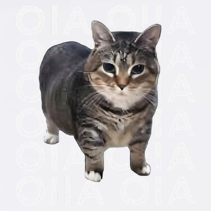 Oia Cat Meme I Wake Up Engage In Tomfoolery Oiia Cat Spinnin Garment-Dyed Sweatshirt