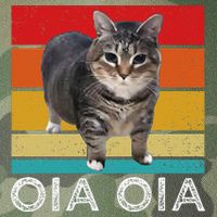 Oia Cat Meme I Wake Up Engage In Tomfoolery Oiia Cat Spinnin Legacy Tie Dye Trucker Hat