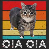 Oia Cat Meme I Wake Up Engage In Tomfoolery Oiia Cat Spinnin Cool Comfort Performance Bucket Hat