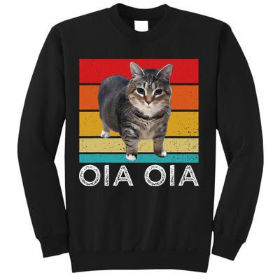 Oia Cat Meme I Wake Up Engage In Tomfoolery Oiia Cat Spinnin Sweatshirt