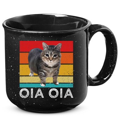Oia Cat Meme I Wake Up Engage In Tomfoolery Oiia Cat Spinnin 15oz Campfire Ceramic Mug