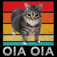 Oia Cat Meme I Wake Up Engage In Tomfoolery Oiia Cat Spinnin 16 in Basic Backpack