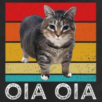 Oia Cat Meme I Wake Up Engage In Tomfoolery Oiia Cat Spinnin 25L Jumbo Tote