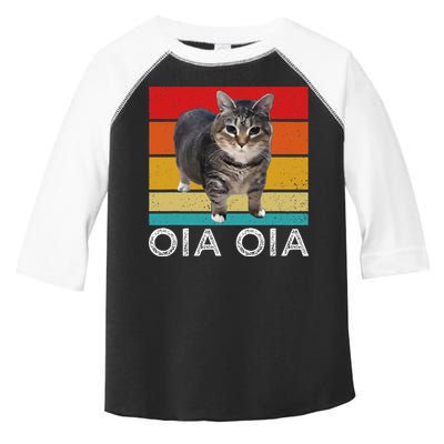 Oia Cat Meme I Wake Up Engage In Tomfoolery Oiia Cat Spinnin Toddler Fine Jersey T-Shirt
