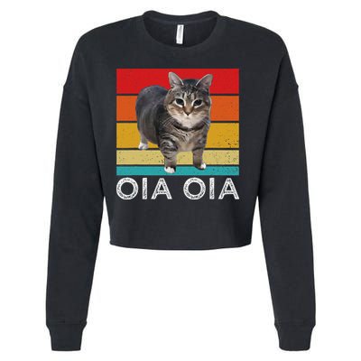 Oia Cat Meme I Wake Up Engage In Tomfoolery Oiia Cat Spinnin Cropped Pullover Crew