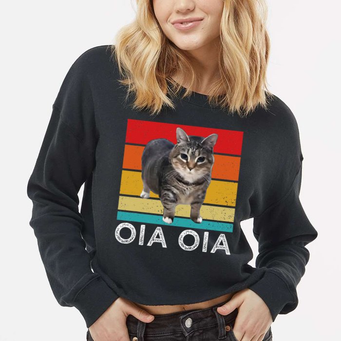 Oia Cat Meme I Wake Up Engage In Tomfoolery Oiia Cat Spinnin Cropped Pullover Crew