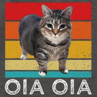 Oia Cat Meme I Wake Up Engage In Tomfoolery Oiia Cat Spinnin Vector Backpack