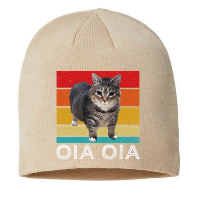 Oia Cat Meme I Wake Up Engage In Tomfoolery Oiia Cat Spinnin Sustainable Beanie