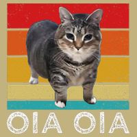 Oia Cat Meme I Wake Up Engage In Tomfoolery Oiia Cat Spinnin Magnet