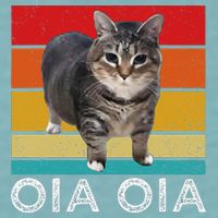 Oia Cat Meme I Wake Up Engage In Tomfoolery Oiia Cat Spinnin Sueded Cloud Jersey T-Shirt