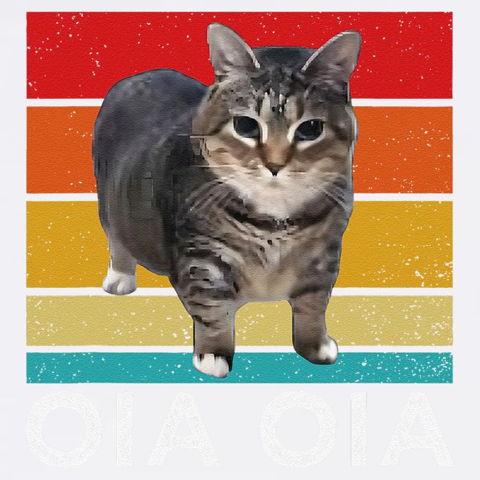 Oia Cat Meme I Wake Up Engage In Tomfoolery Oiia Cat Spinnin Garment-Dyed Sweatshirt