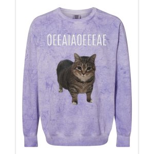 Oiiaoiia Cat Spinning Cat Meme Funny Trendy Cat Lovers Art Colorblast Crewneck Sweatshirt