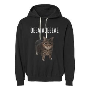 Oiiaoiia Cat Spinning Cat Meme Funny Trendy Cat Lovers Art Garment-Dyed Fleece Hoodie