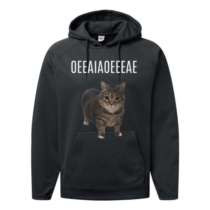 Oiiaoiia Cat Spinning Cat Meme Funny Trendy Cat Lovers Art Performance Fleece Hoodie