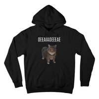 Oiiaoiia Cat Spinning Cat Meme Funny Trendy Cat Lovers Art Hoodie