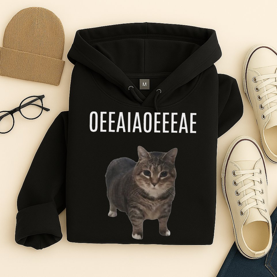 Oiiaoiia Cat Spinning Cat Meme Funny Trendy Cat Lovers Art Hoodie
