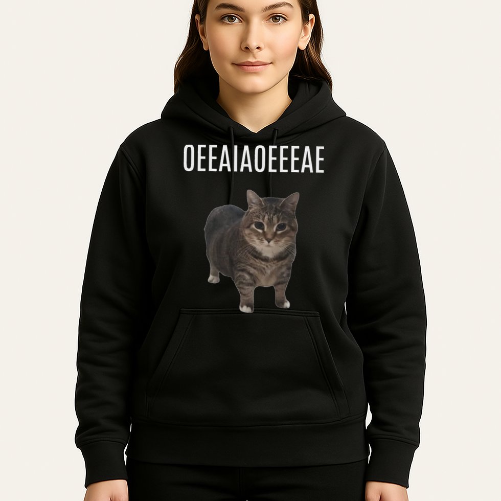 Oiiaoiia Cat Spinning Cat Meme Funny Trendy Cat Lovers Art Hoodie