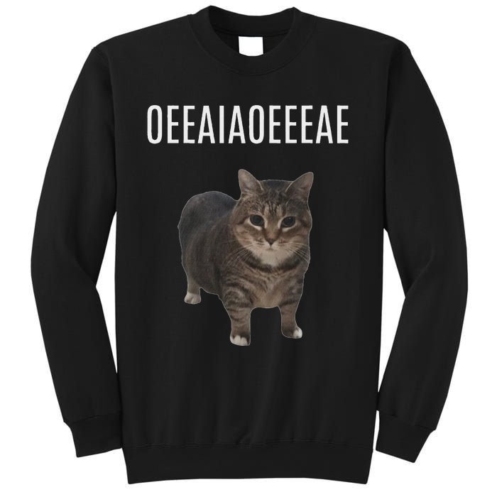 Oiiaoiia Cat Spinning Cat Meme Funny Trendy Cat Lovers Art Sweatshirt