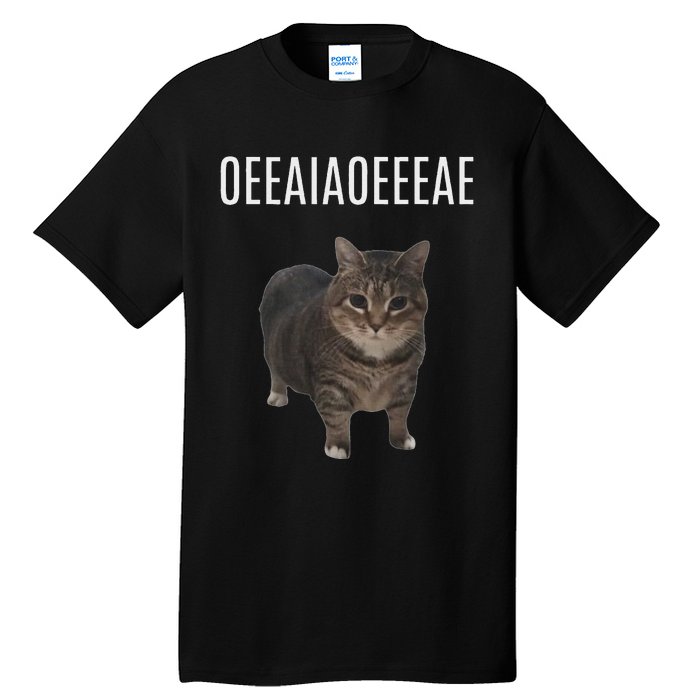 Oiiaoiia Cat Spinning Cat Meme Funny Trendy Cat Lovers Art Tall T-Shirt