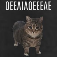 Oiiaoiia Cat Spinning Cat Meme Funny Trendy Cat Lovers Art 15oz Campfire Ceramic Mug