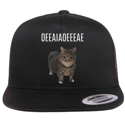 Oiiaoiia Cat Spinning Cat Meme Funny Trendy Cat Lovers Art Flatbill Hat