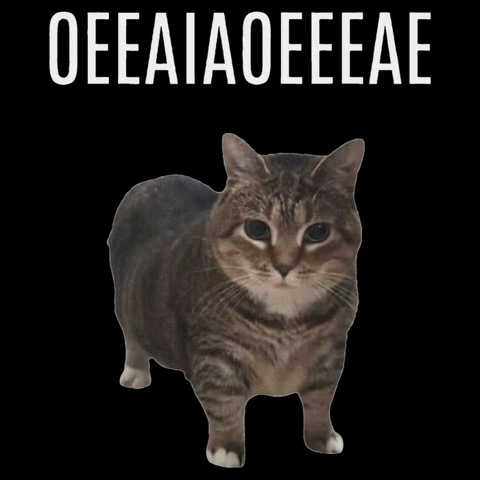 Oiiaoiia Cat Spinning Cat Meme Funny Trendy Cat Lovers Art 16 in Basic Backpack