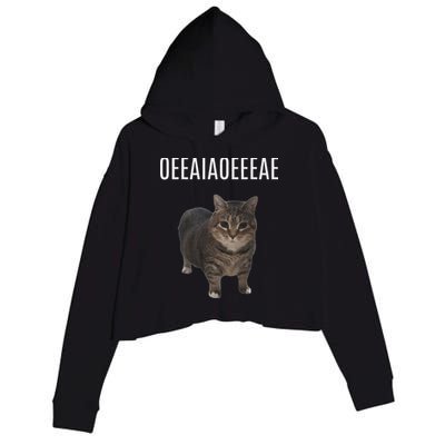 Oiiaoiia Cat Spinning Cat Meme Funny Trendy Cat Lovers Art Crop Fleece Hoodie