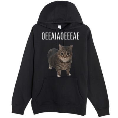 Oiiaoiia Cat Spinning Cat Meme Funny Trendy Cat Lovers Art Premium Pullover Hoodie