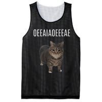 Oiiaoiia Cat Spinning Cat Meme Funny Trendy Cat Lovers Art Mesh Reversible Basketball Jersey Tank