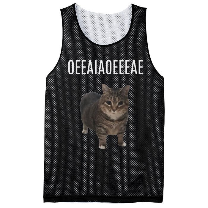 Oiiaoiia Cat Spinning Cat Meme Funny Trendy Cat Lovers Art Mesh Reversible Basketball Jersey Tank