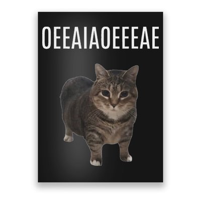 Oiiaoiia Cat Spinning Cat Meme Funny Trendy Cat Lovers Art Poster
