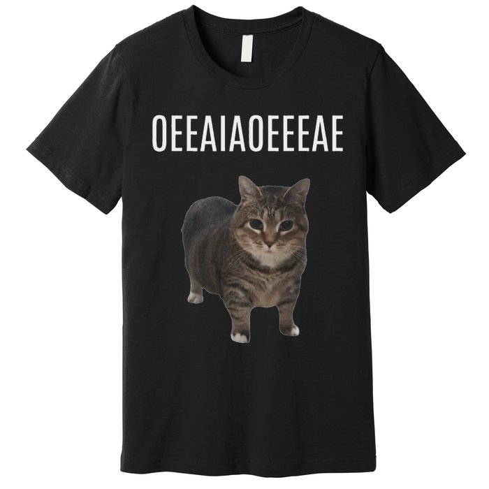 Oiiaoiia Cat Spinning Cat Meme Funny Trendy Cat Lovers Art Premium T-Shirt