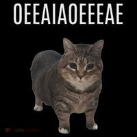 Oiiaoiia Cat Spinning Cat Meme Funny Trendy Cat Lovers Art Premium T-Shirt