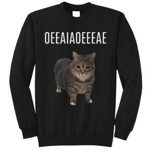 Oiiaoiia Cat Spinning Cat Meme Funny Trendy Cat Lovers Art Tall Sweatshirt