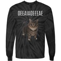 Oiiaoiia Cat Spinning Cat Meme Funny Trendy Cat Lovers Art Tie-Dye Long Sleeve Shirt