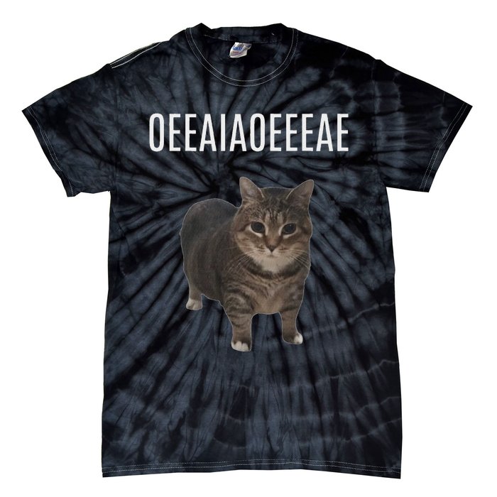 Oiiaoiia Cat Spinning Cat Meme Funny Trendy Cat Lovers Art Tie-Dye T-Shirt