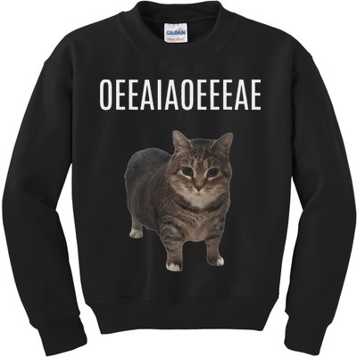 Oiiaoiia Cat Spinning Cat Meme Funny Trendy Cat Lovers Art Kids Sweatshirt
