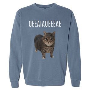 Oiiaoiia Cat Spinning Cat Meme Funny Trendy Cat Lovers Art Garment-Dyed Sweatshirt